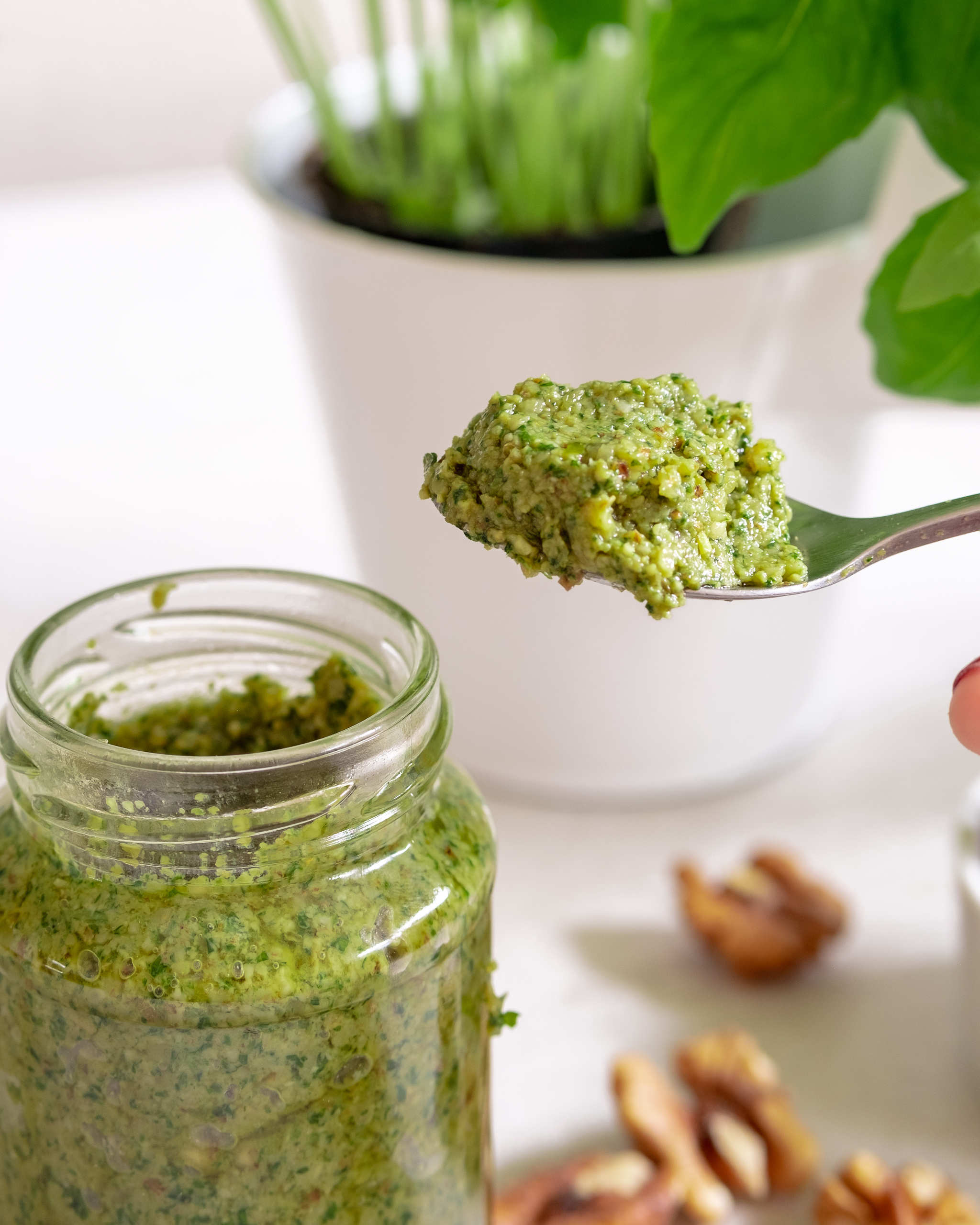 Vegan pesto with walnuts